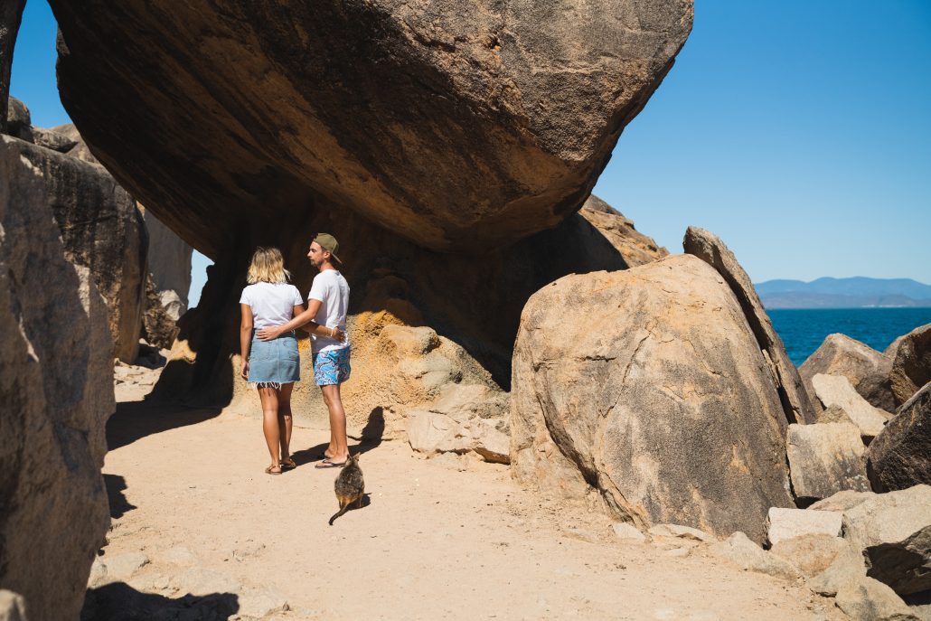 beach, beaches, bay, wallabies, rock wallabies, bird feeding, butterfly, butterfly walk, fort, forts walk
